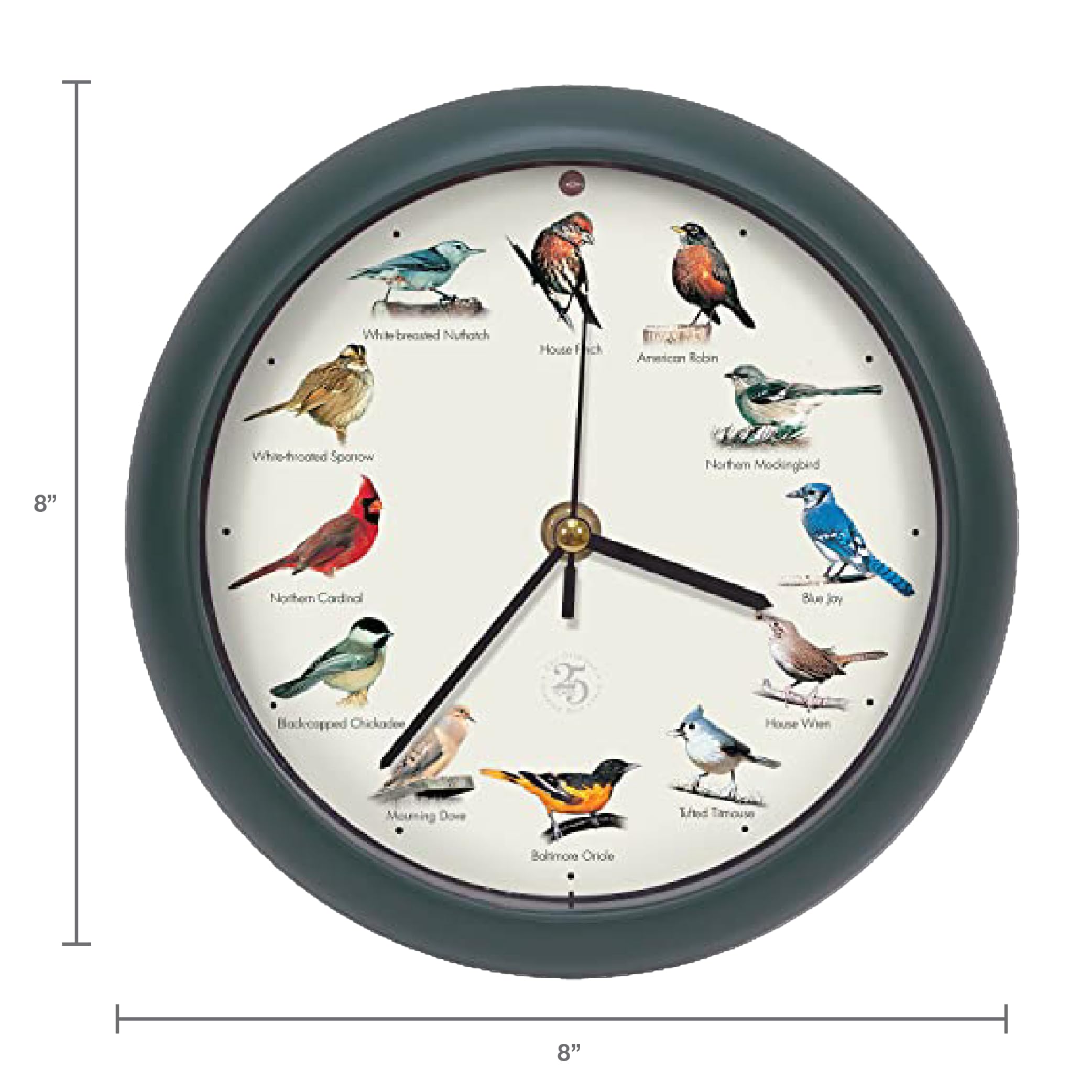 Mark Feldstein close-up of clock dial artwork highlighting remastered detail