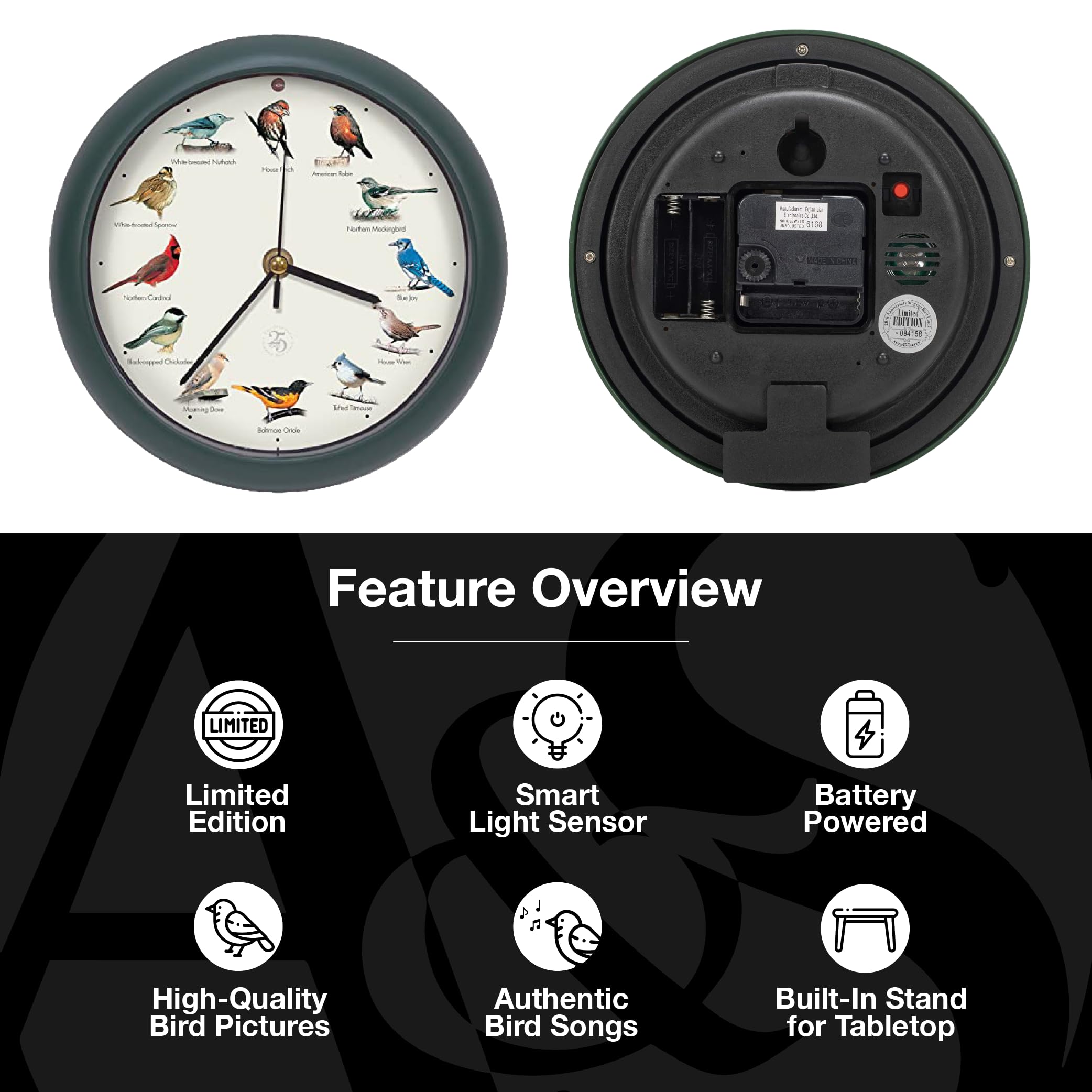 Mark Feldstein clock on desk illustrating compact size and ambient bird sounds