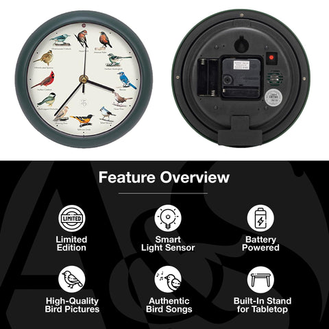 Mark Feldstein clock on desk illustrating compact size and ambient bird sounds