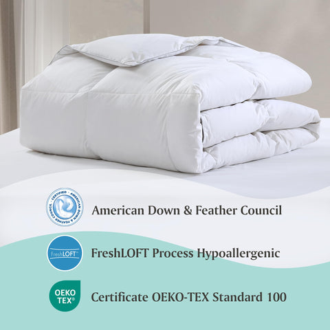 Martha Stewart comforter styled on bed in a modern bedroom providing cozy hotel-like comfort