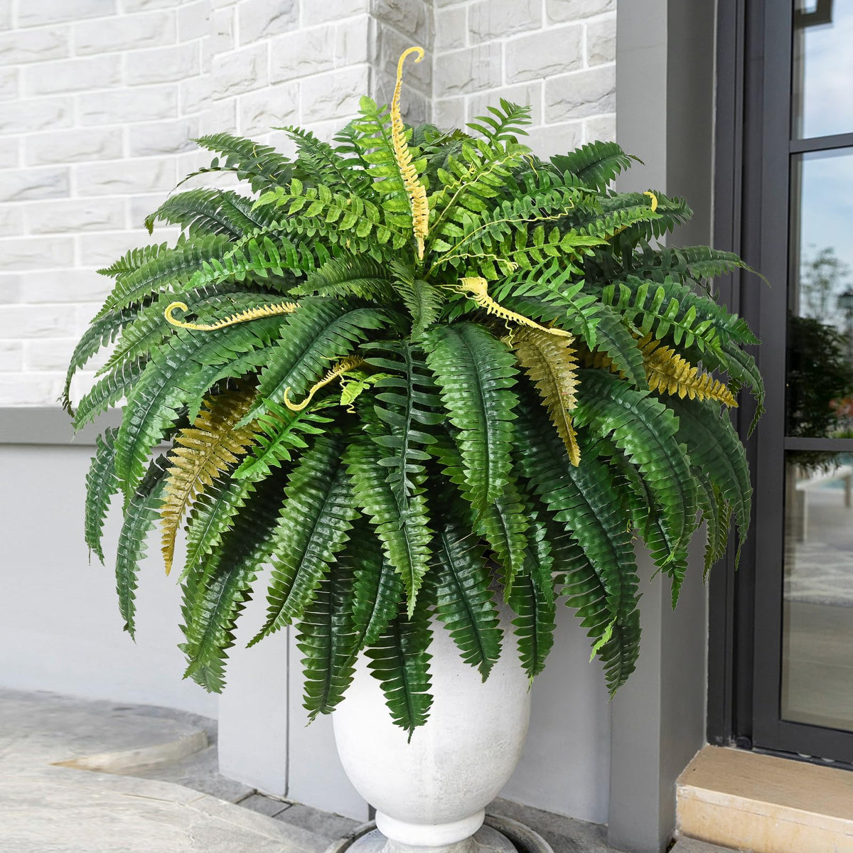 MARTINE MALL front view of 48 inch fern showing full volume and impact