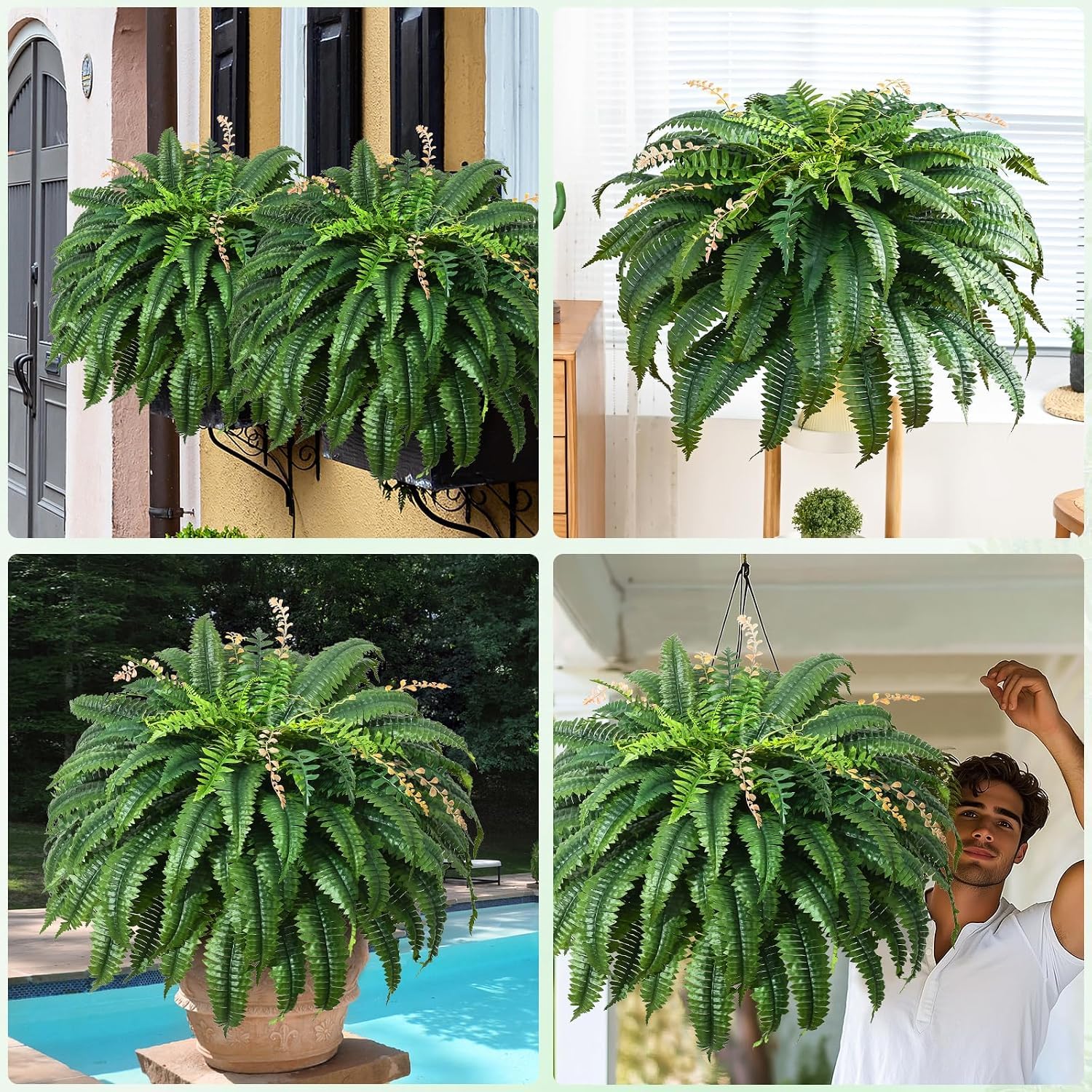 MARTINE MALL grouped ferns on patio providing year-round green for outdoor entertaining