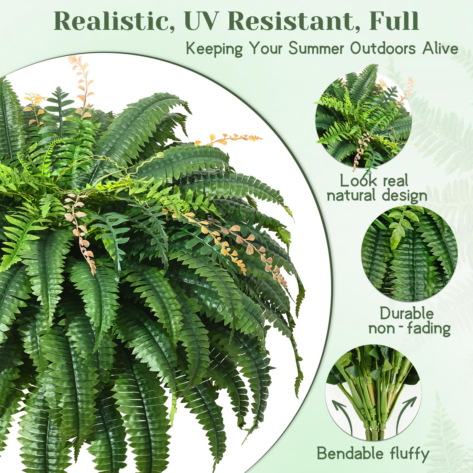 MARTINE MALL fern styled in a decorative pot to show how it fills a 12–16 inch container