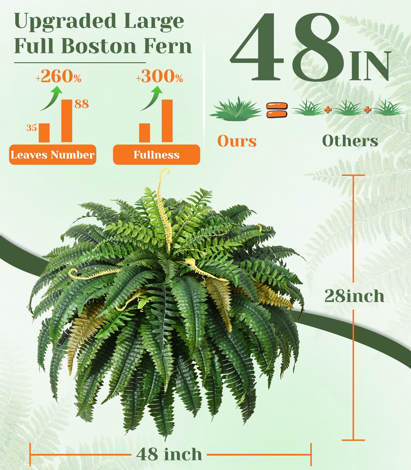MARTINE MALL fern arranged in a pot filling a 12–15 inch planter beautifully