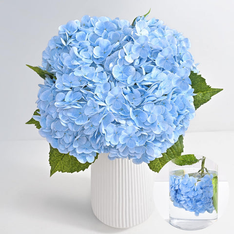 MARTINE MALL front packaging showing four blue hydrangea stems, instant decor benefit
