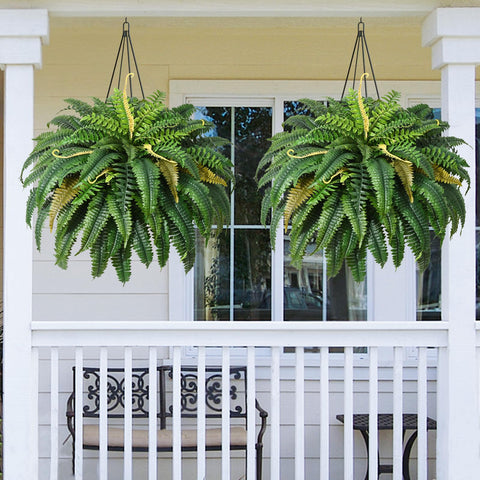 MARTINE MALL fern beside patio chair showing true 48‑inch scale