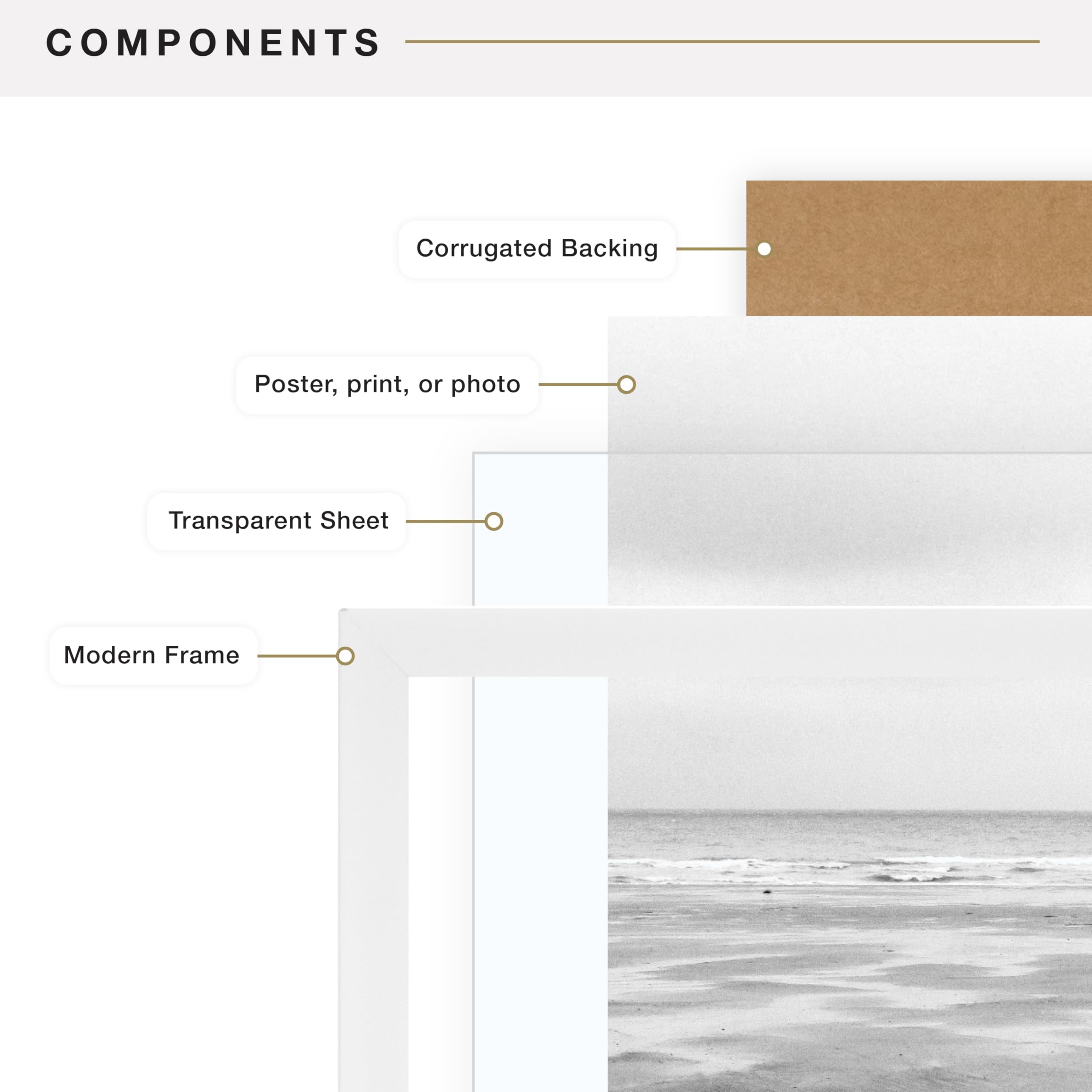 MCS frame next to book showing scale and accurate size-fit benefit