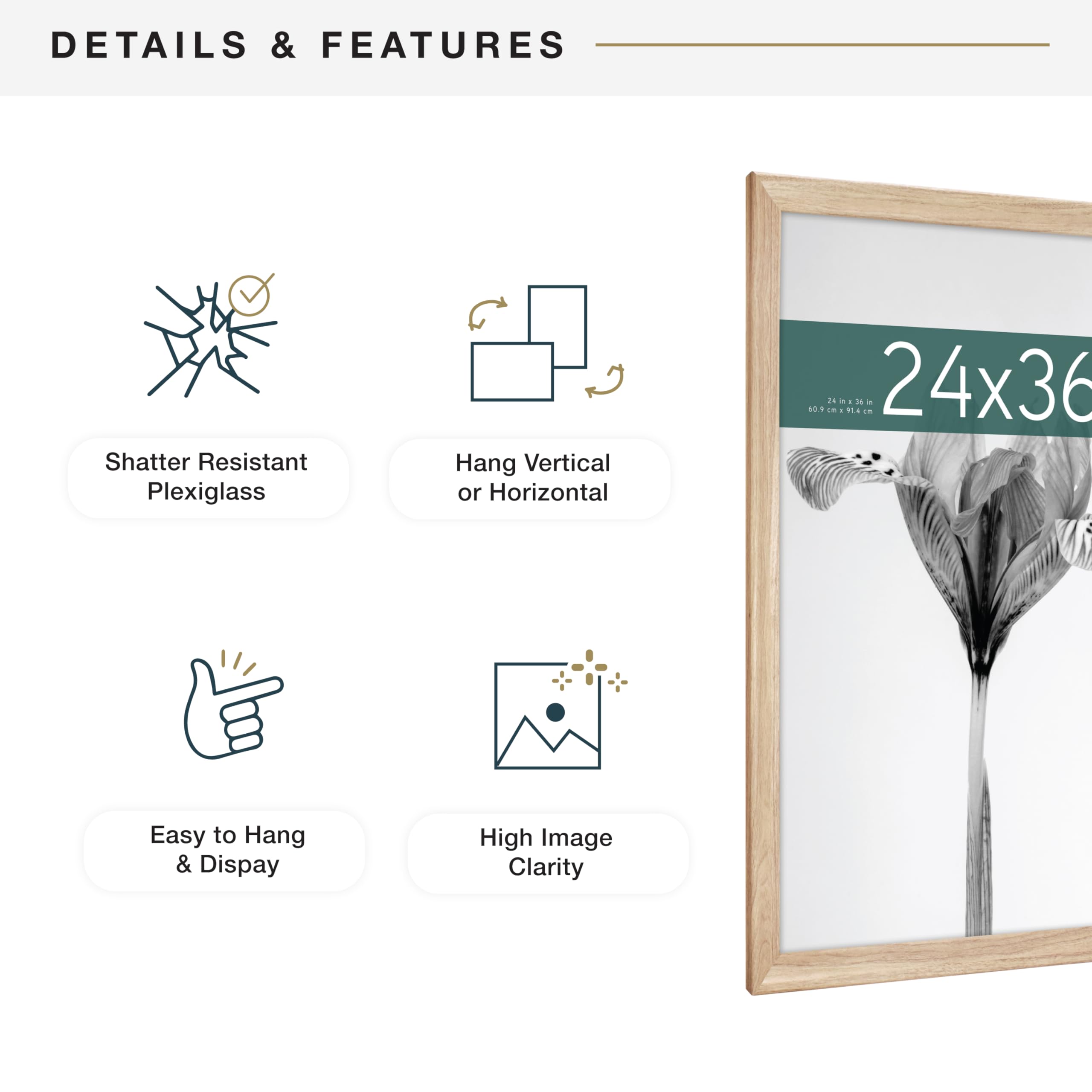 MCS frame next to door showing scale and size clarity benefit