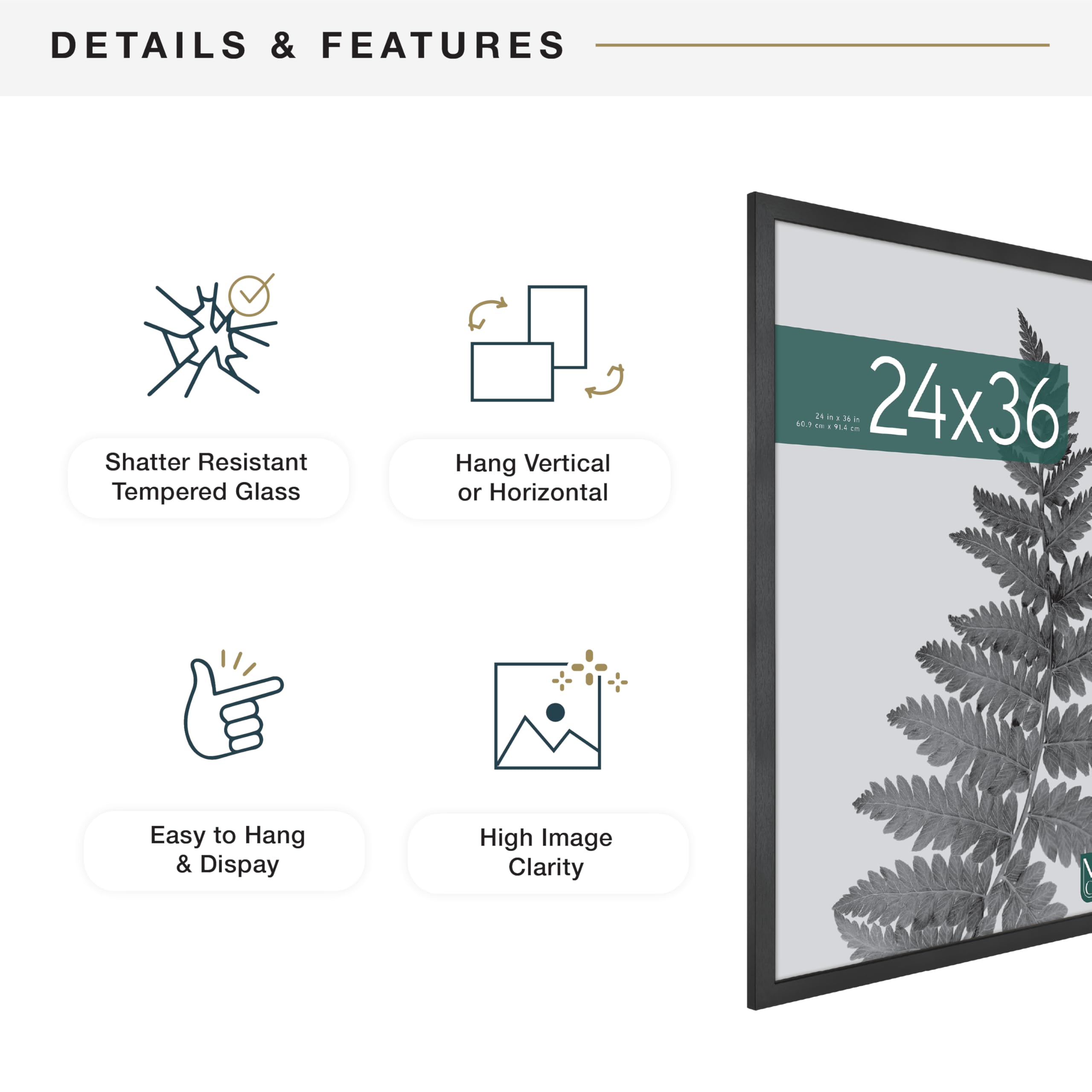 MCS frame beside ruler showing scale and true 24x36 fit benefit