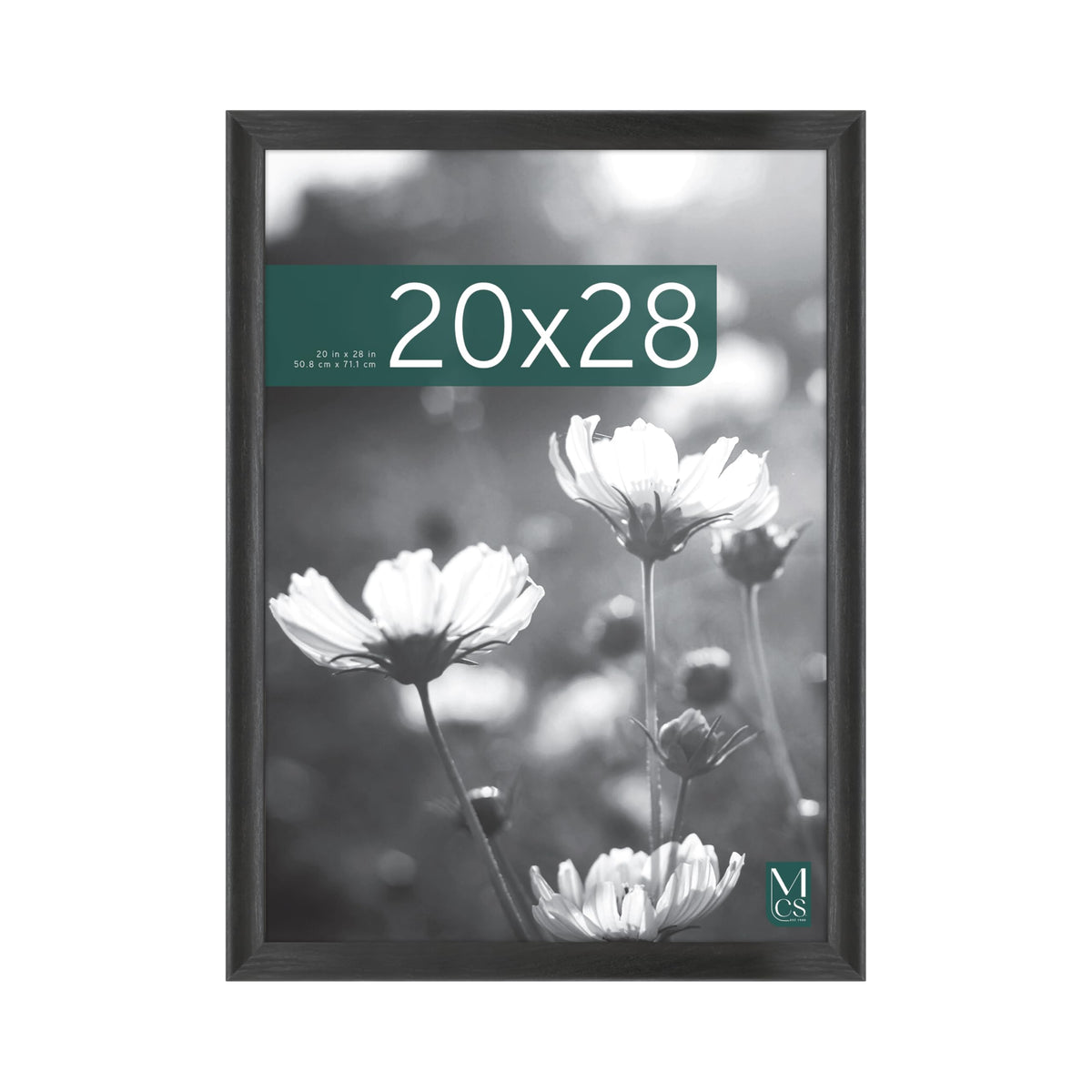 MCS frame front view showing black woodgrain finish and clean display benefit