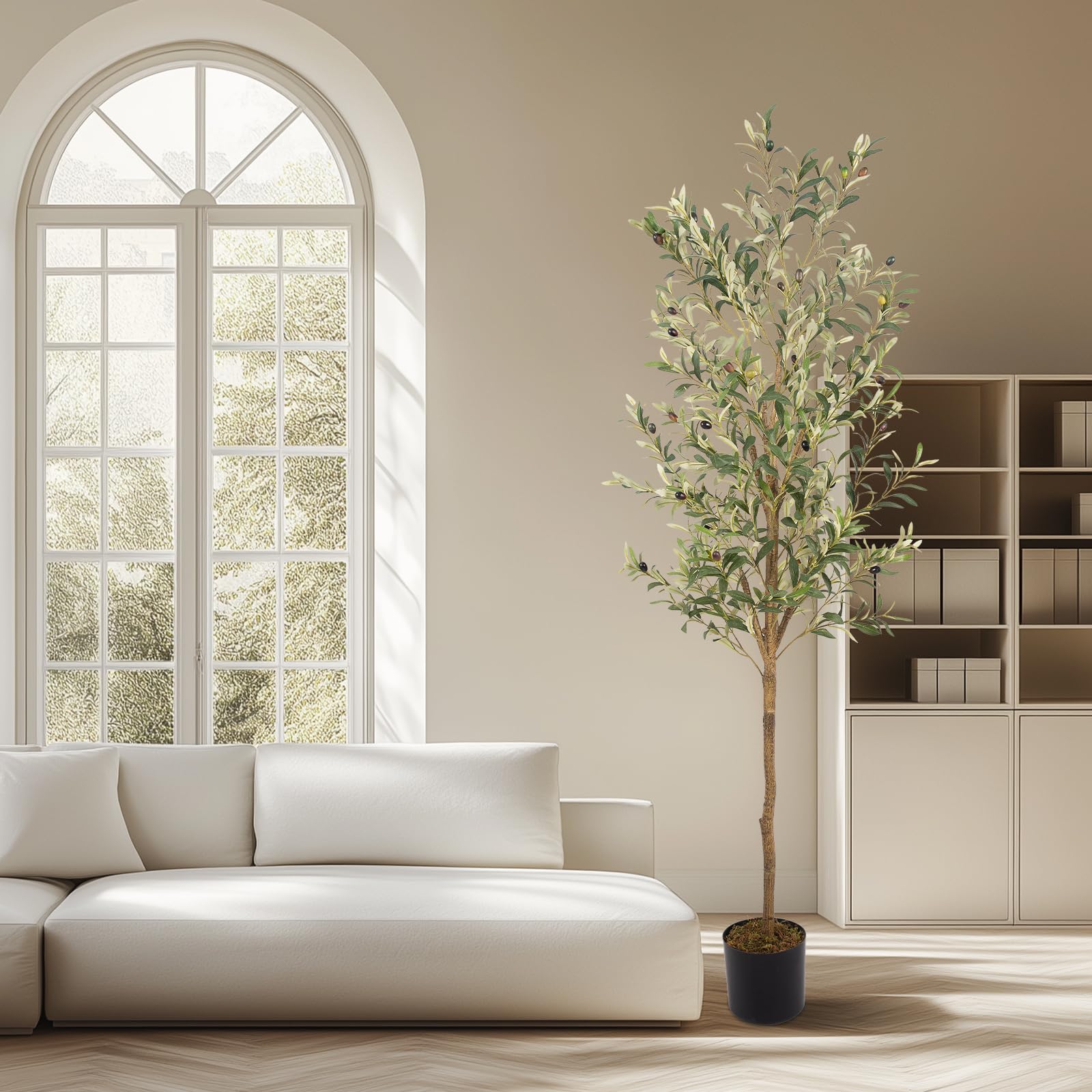 MCTYBB olive tree in living room setting showing instant focal point and low-maintenance style