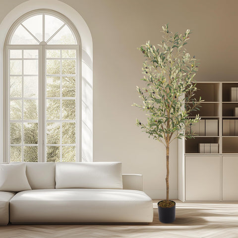 MCTYBB olive tree in living room setting showing instant focal point and low-maintenance style