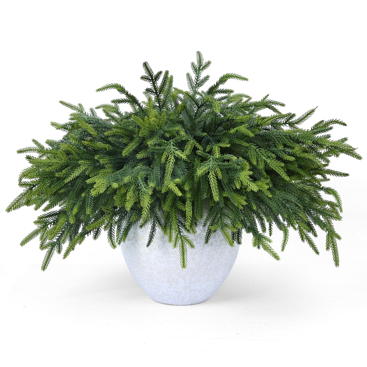 MDSTBN front view of 24-pack pine branches showing full bundle and packaging benefit