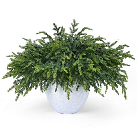 MDSTBN front view of 24-pack pine branches showing full bundle and packaging benefit
