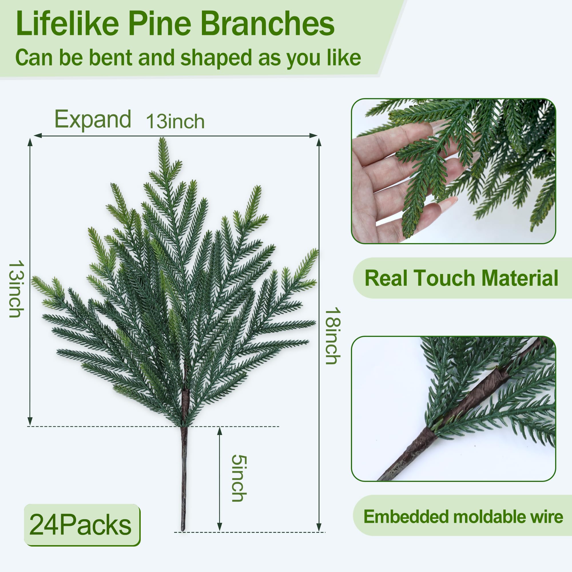 MDSTBN pine branch next to ruler showing 18-inch size for planning projects