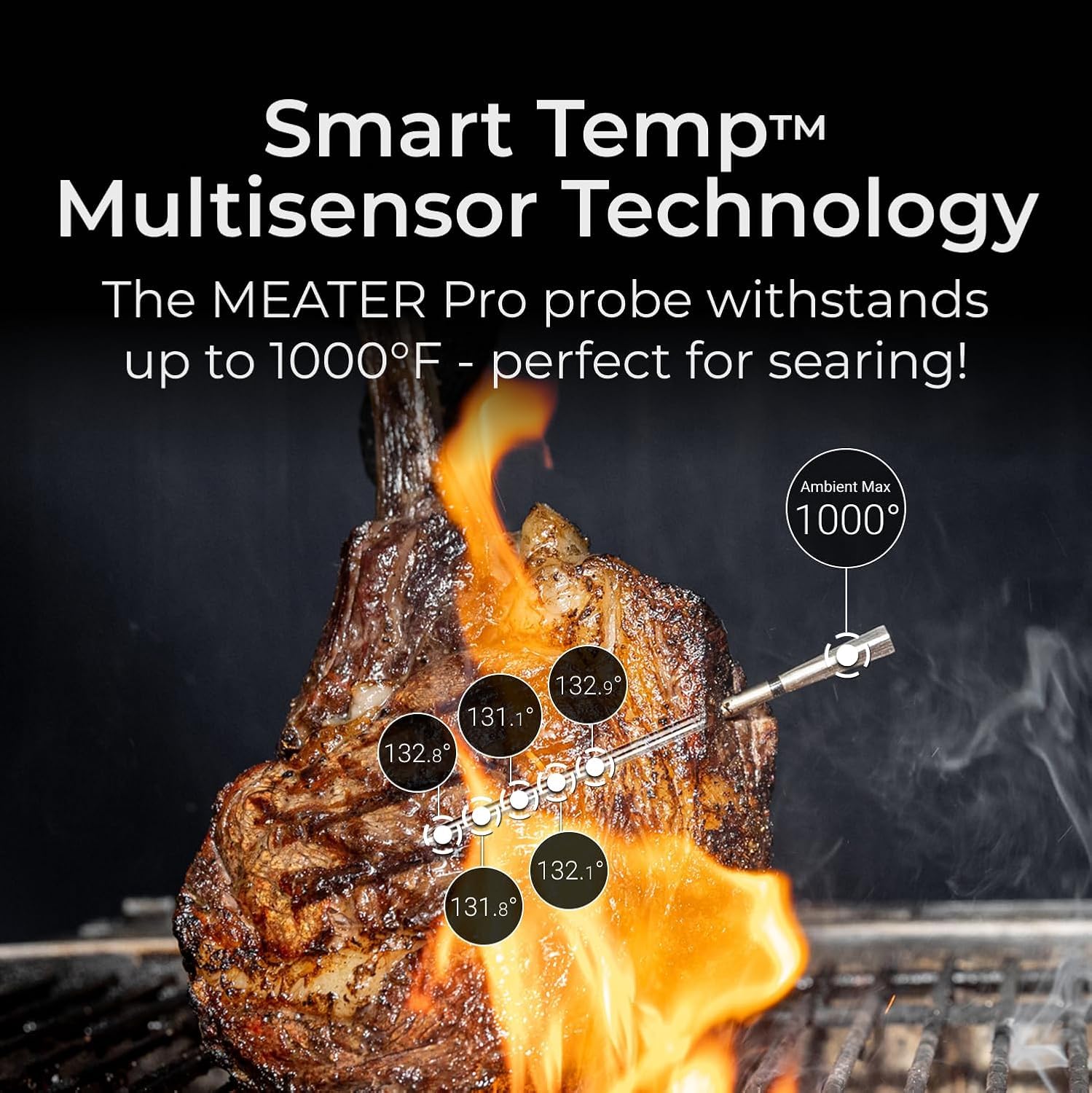 MEATER Pro probe held in hand showing compact size and easy handling benefit