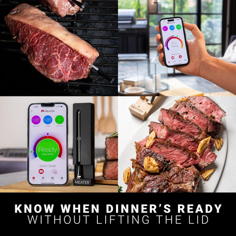 MEATER SE probe close-up of dual sensors, MEATER accuracy for precise cooks