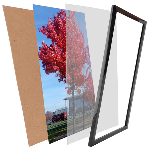Medog frame in classroom lifestyle showing student artwork display benefit