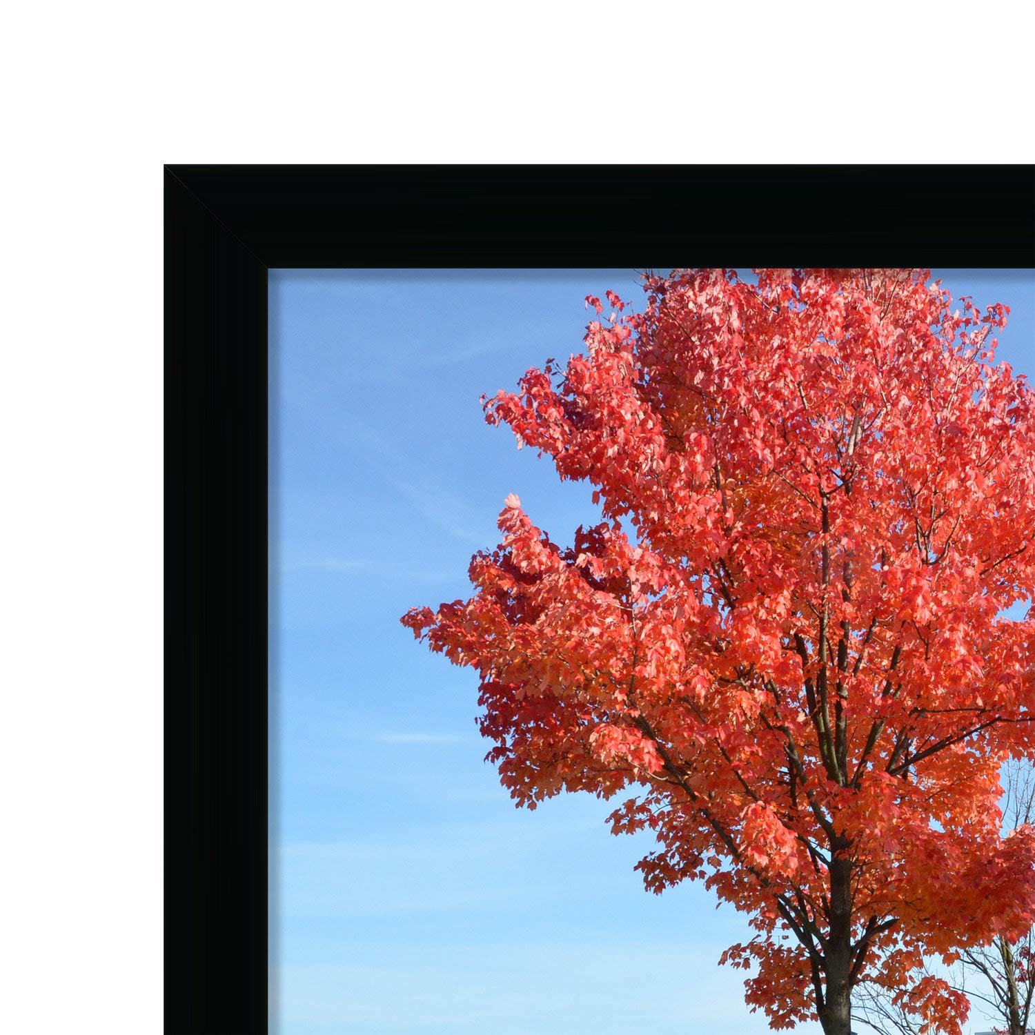 Medog frame retail display scene with poster promoting a product, ideal for store signage