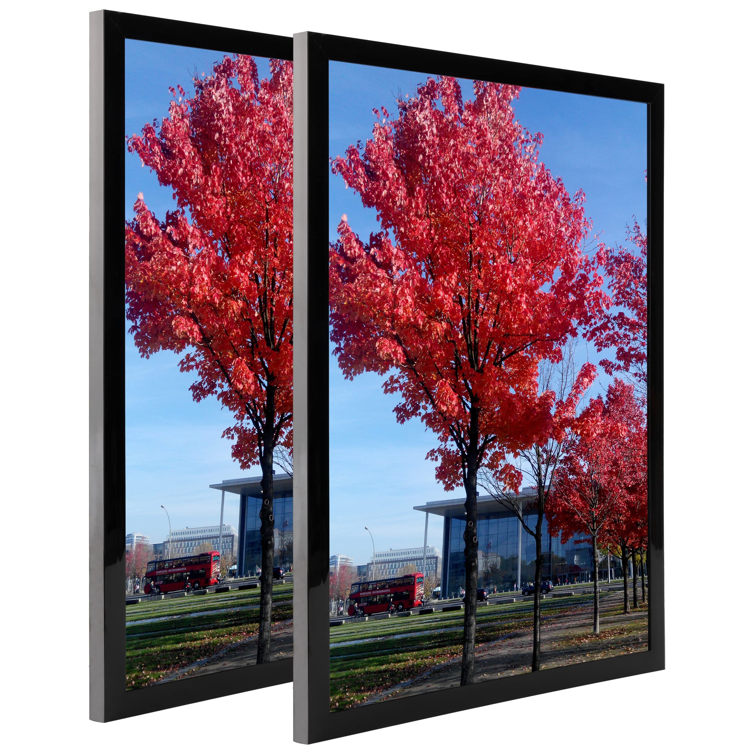 Medog frame with poster installed showing finished presentation benefit