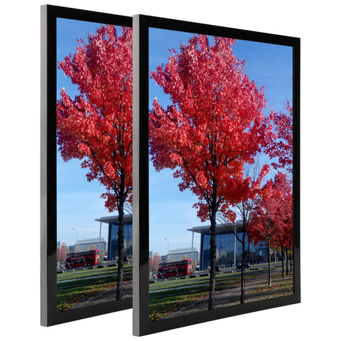 Medog frame with poster installed showing finished presentation benefit