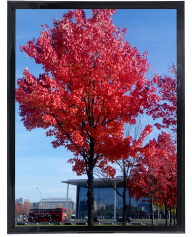 Medog front view of 20x30 frame showing clean black border and poster focus