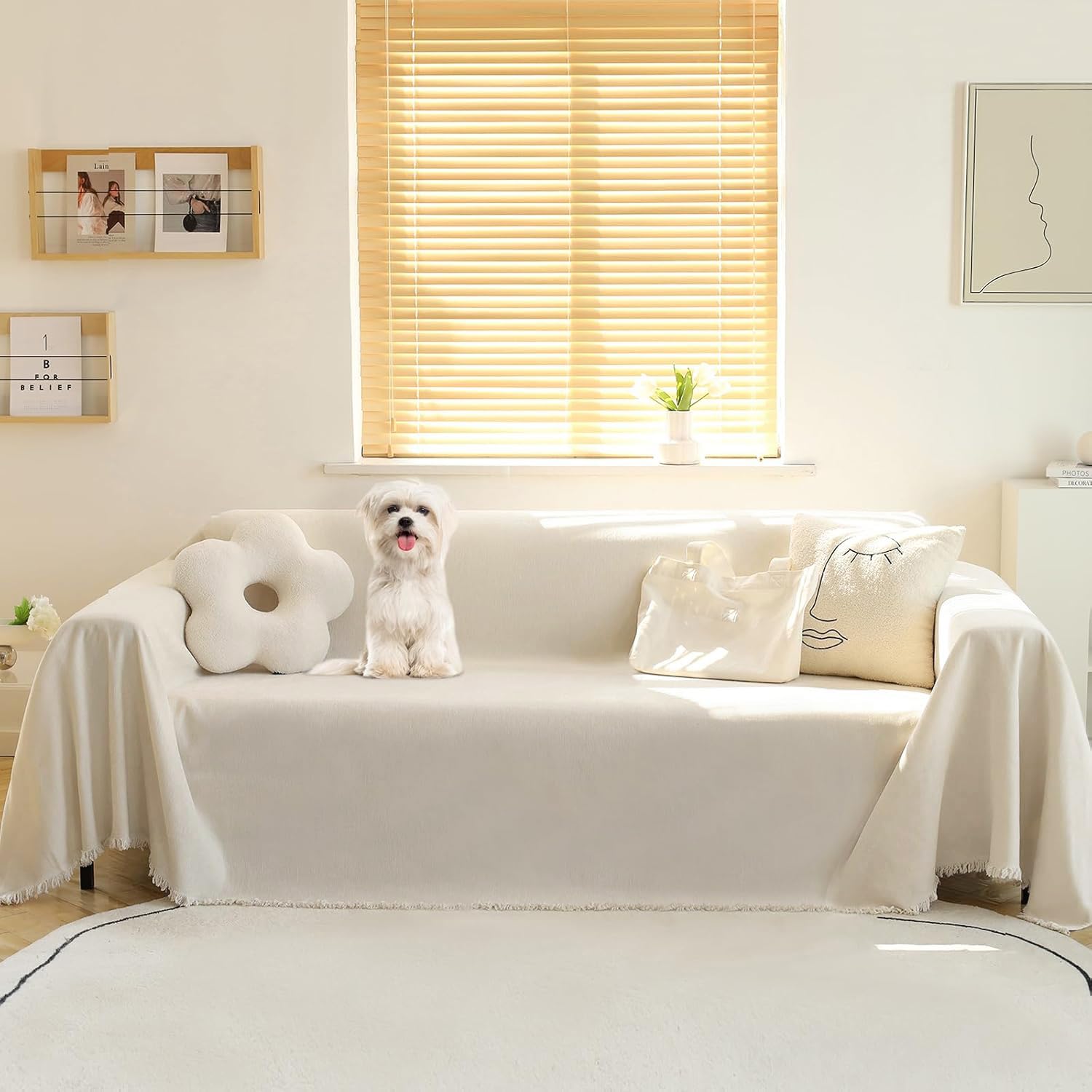 MEETSKY sofa cover front view showing full coverage and elegant look