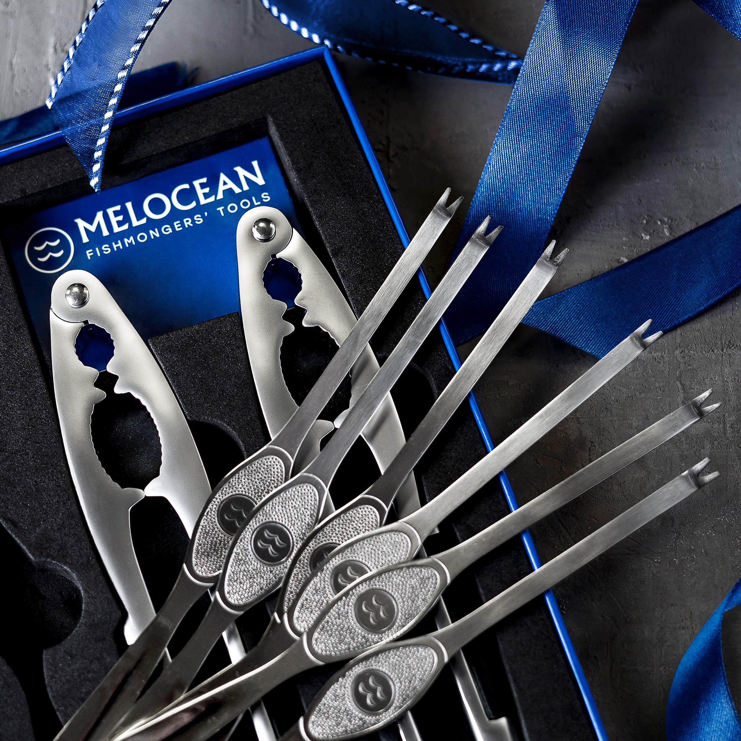 Melocean magnetic box interior with EVA foam protecting tools