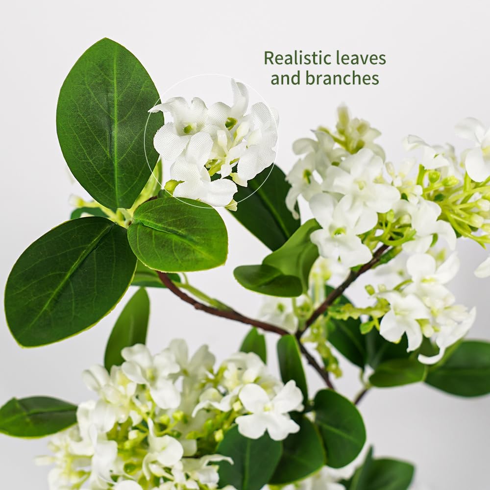 Melorca&Guilla close-up of leaves showing realistic texture and natural look benefit