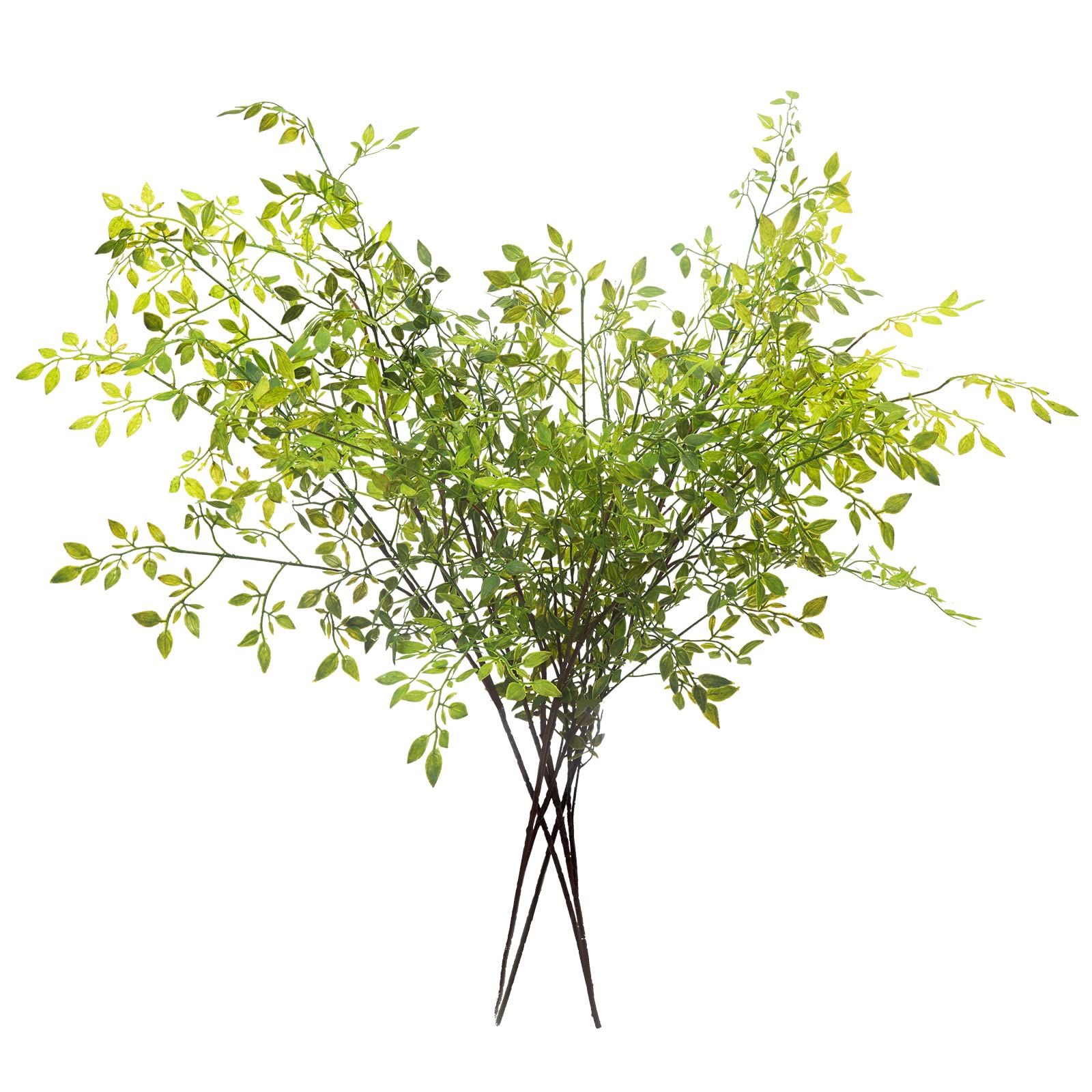 Melorca&Guilla front view of four tall nandina stems showing height and fullness