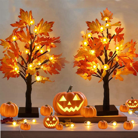 Meteds front view of lighted maple tree adding warm autumn glow
