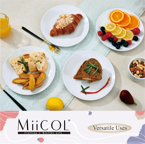 Miicol plate in oven and microwave showing heat resistance and reheating benefit