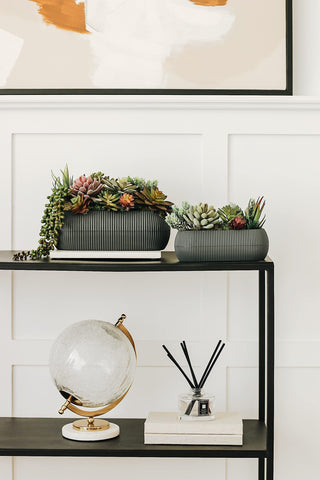 miltonson terrarium composition with pebbles creating natural look