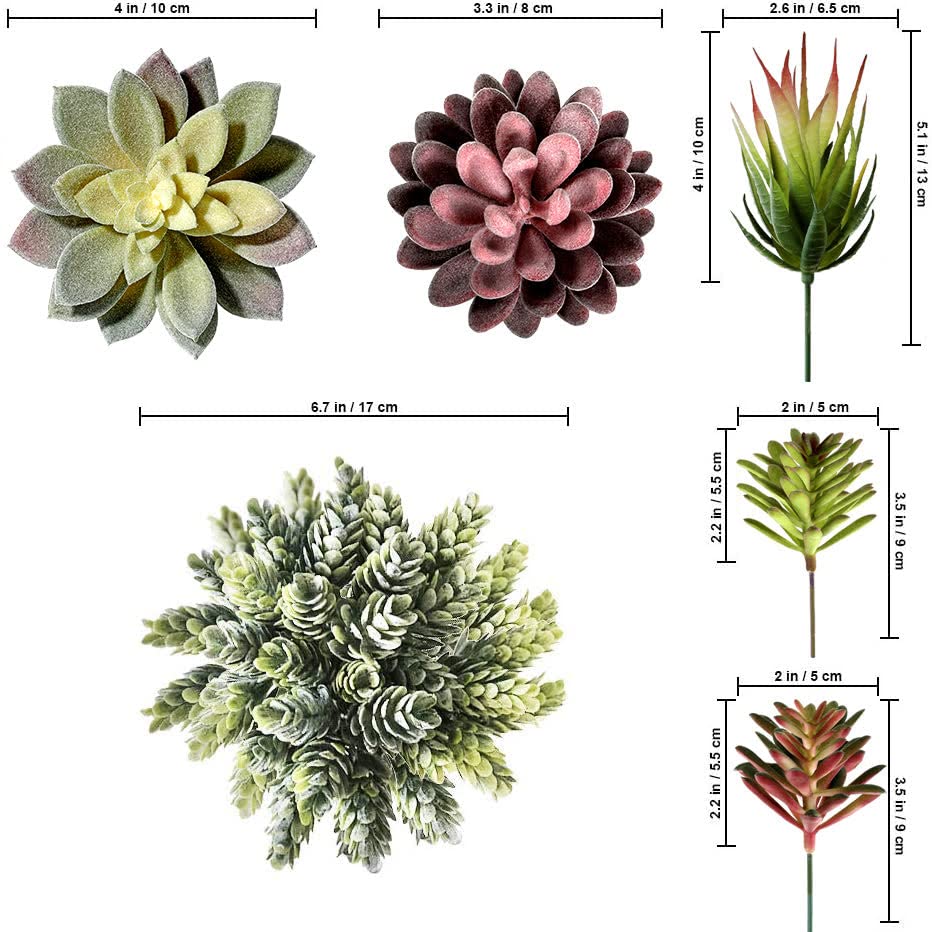 miltonson variety top-down layout highlighting different shapes and colors