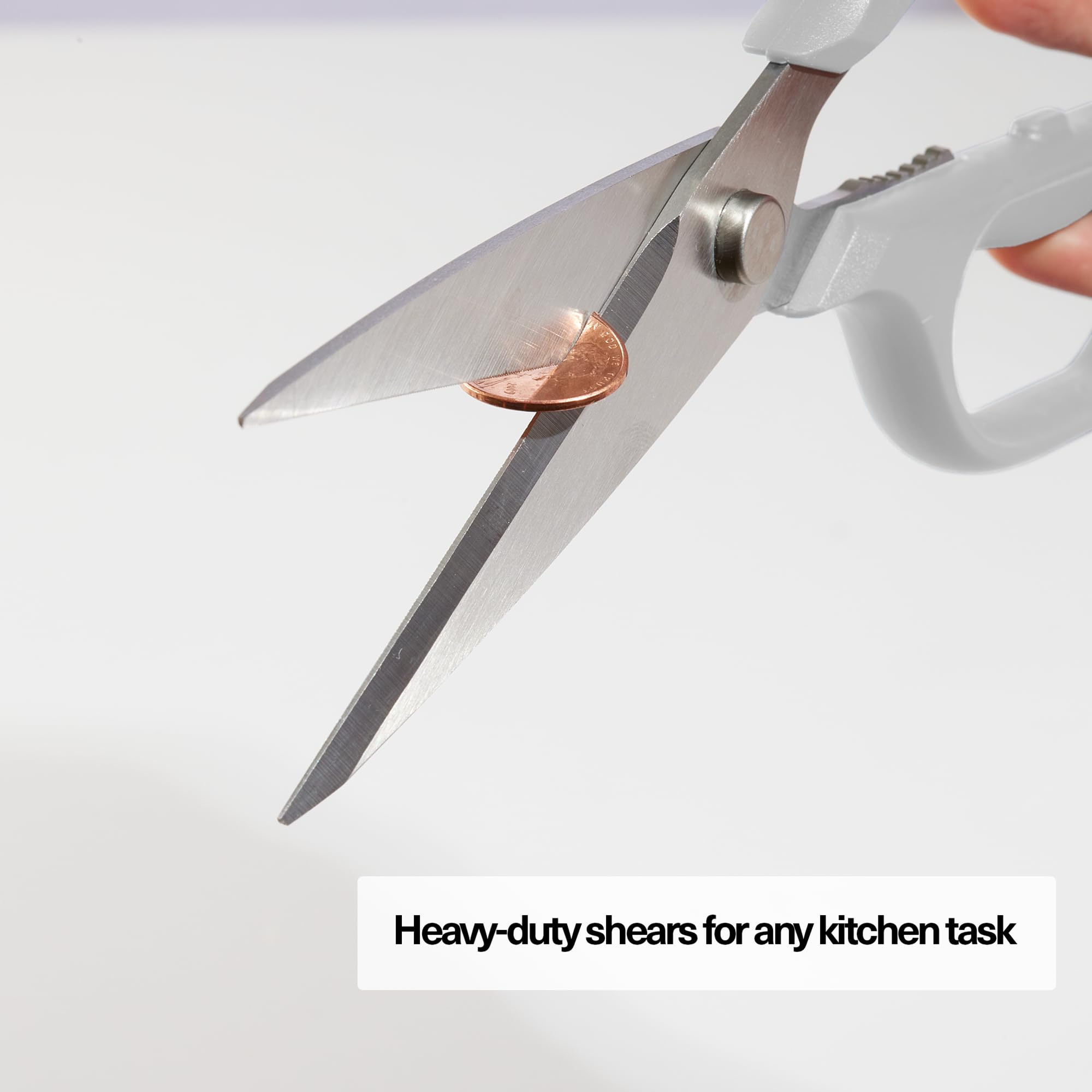 Misen shears next to hand for scale showing large leverage and ergonomic fit