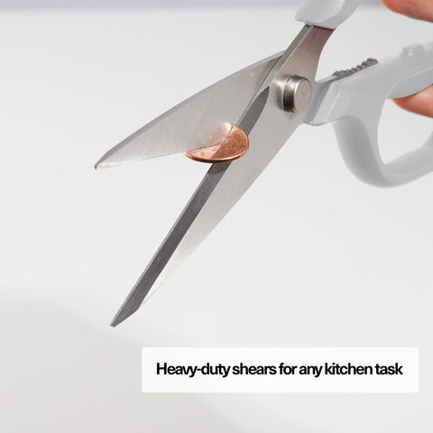 Misen shears next to hand for scale showing large leverage and ergonomic fit