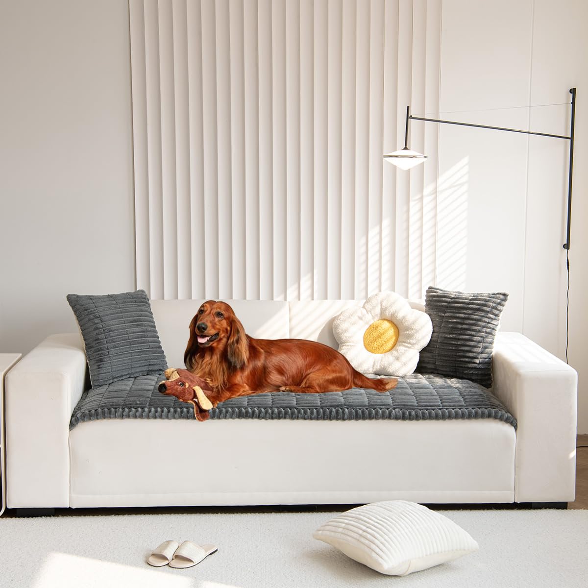 Mitid front view of fitted sofa cover showing full protection and neat look