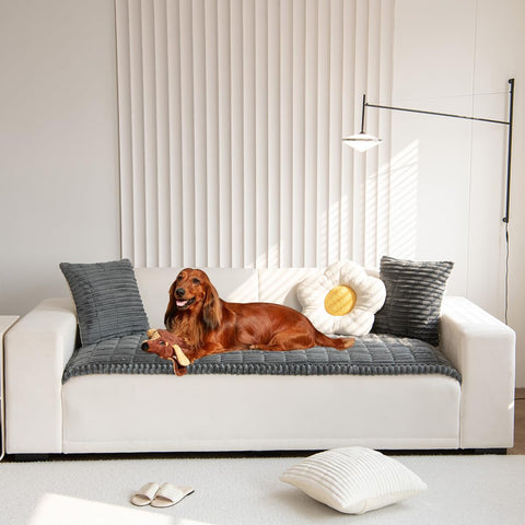 Mitid front view of fitted sofa cover showing full protection and neat look