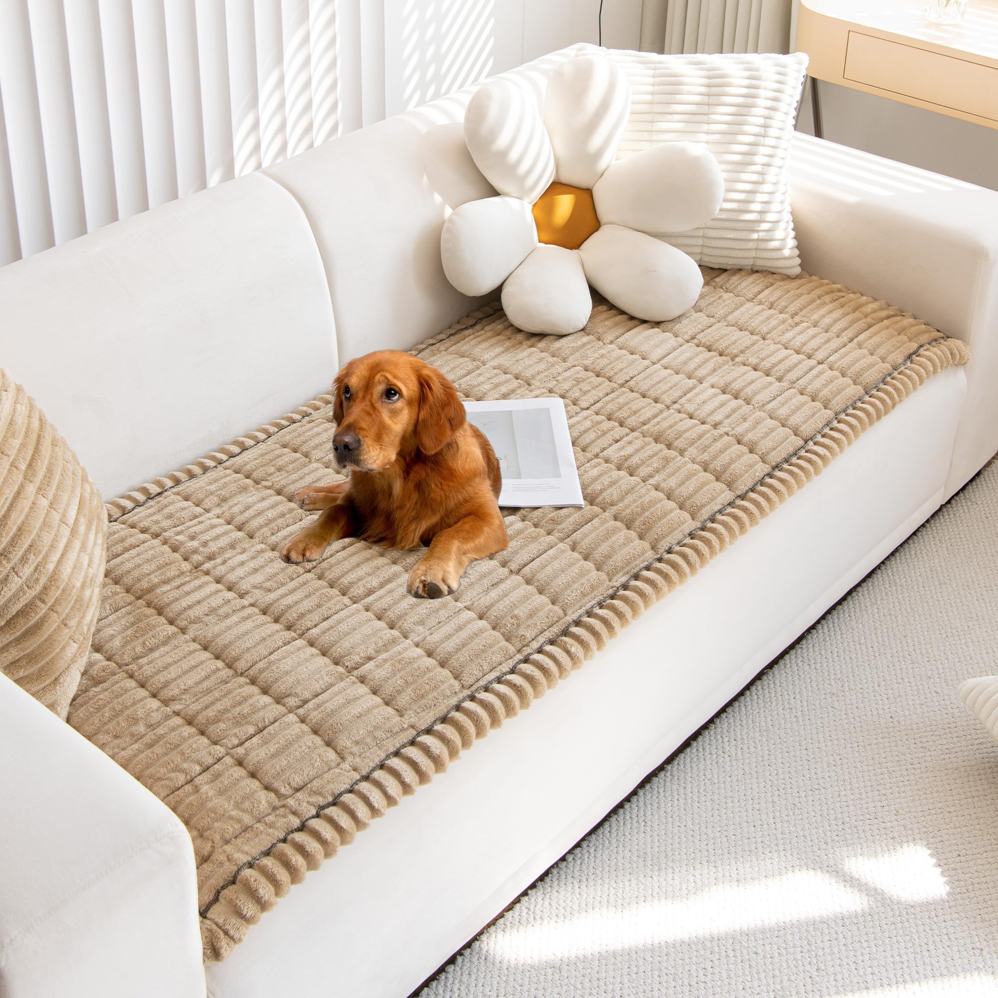Mivnue front view on sofa showing protective fit and stylish look