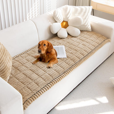Mivnue front view on sofa showing protective fit and stylish look