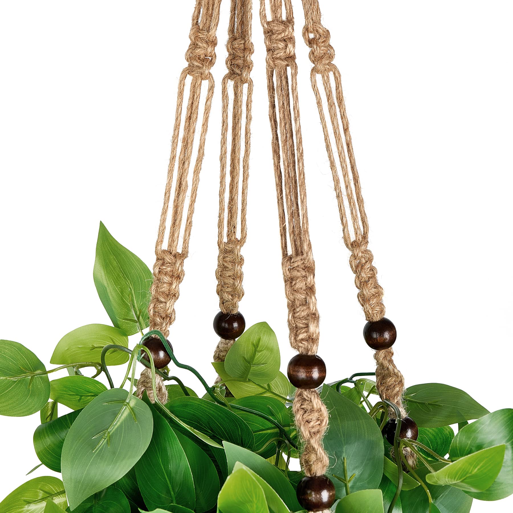 Mkono hanging by a window showing instant greenery without watering benefit