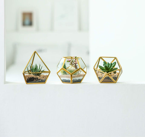 Mkono scale comparison hand shows compact size and suitability for small spaces