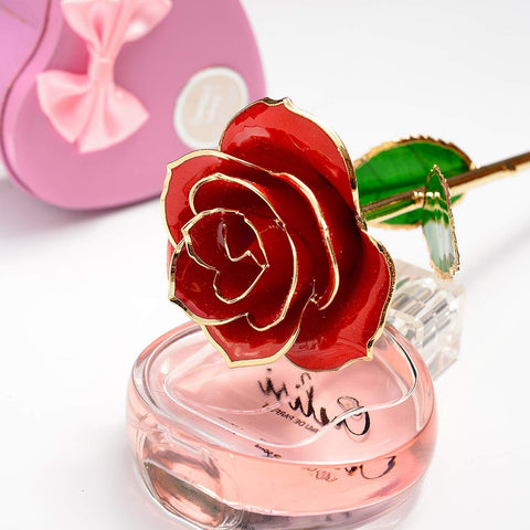 MNIEYU petal close-up capturing real texture and gold-edged detail