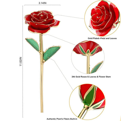 MNIEYU rose on clear stand displaying elegant presentation and convenience
