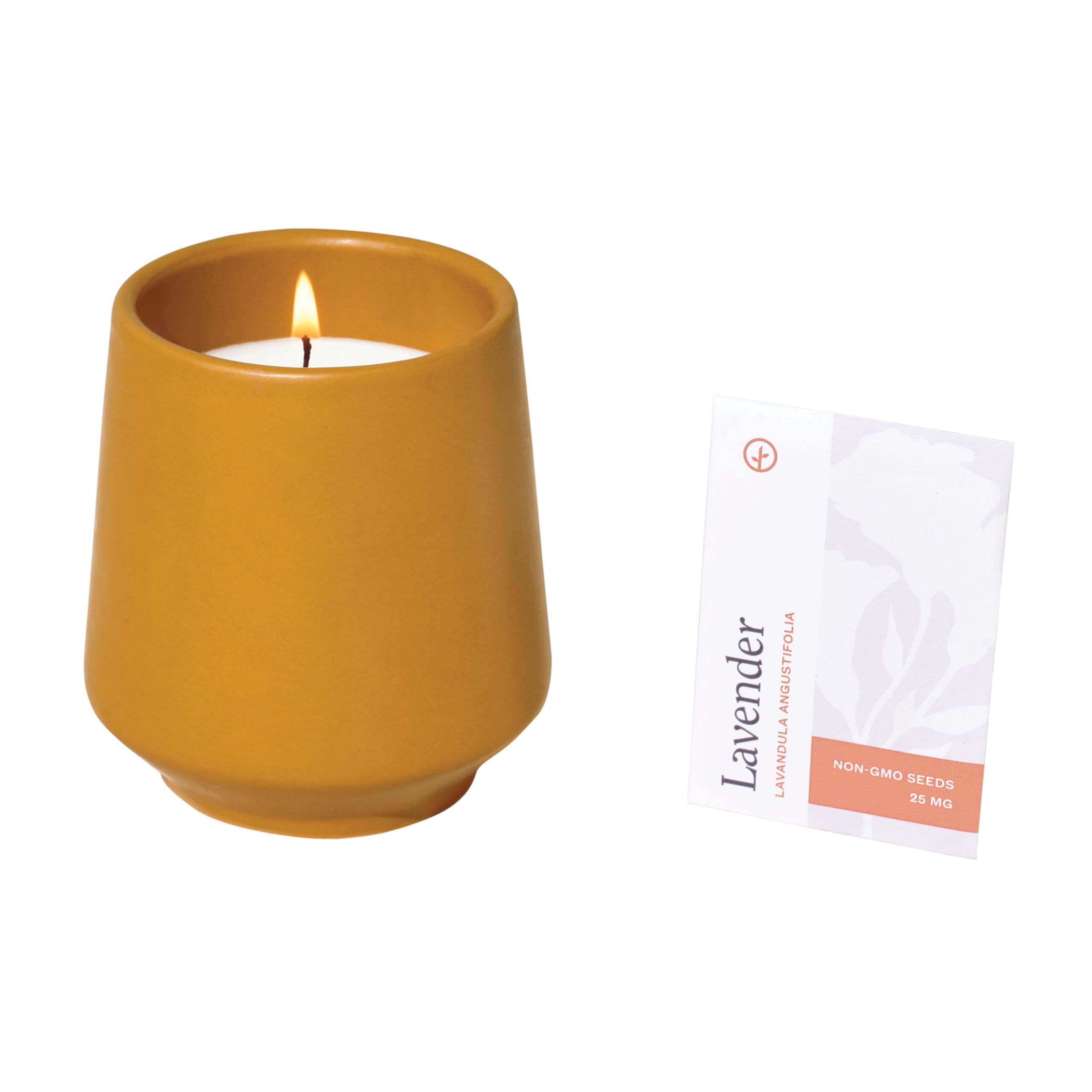 Modern Sprout planter with sprouting herbs illustrating post-candle use