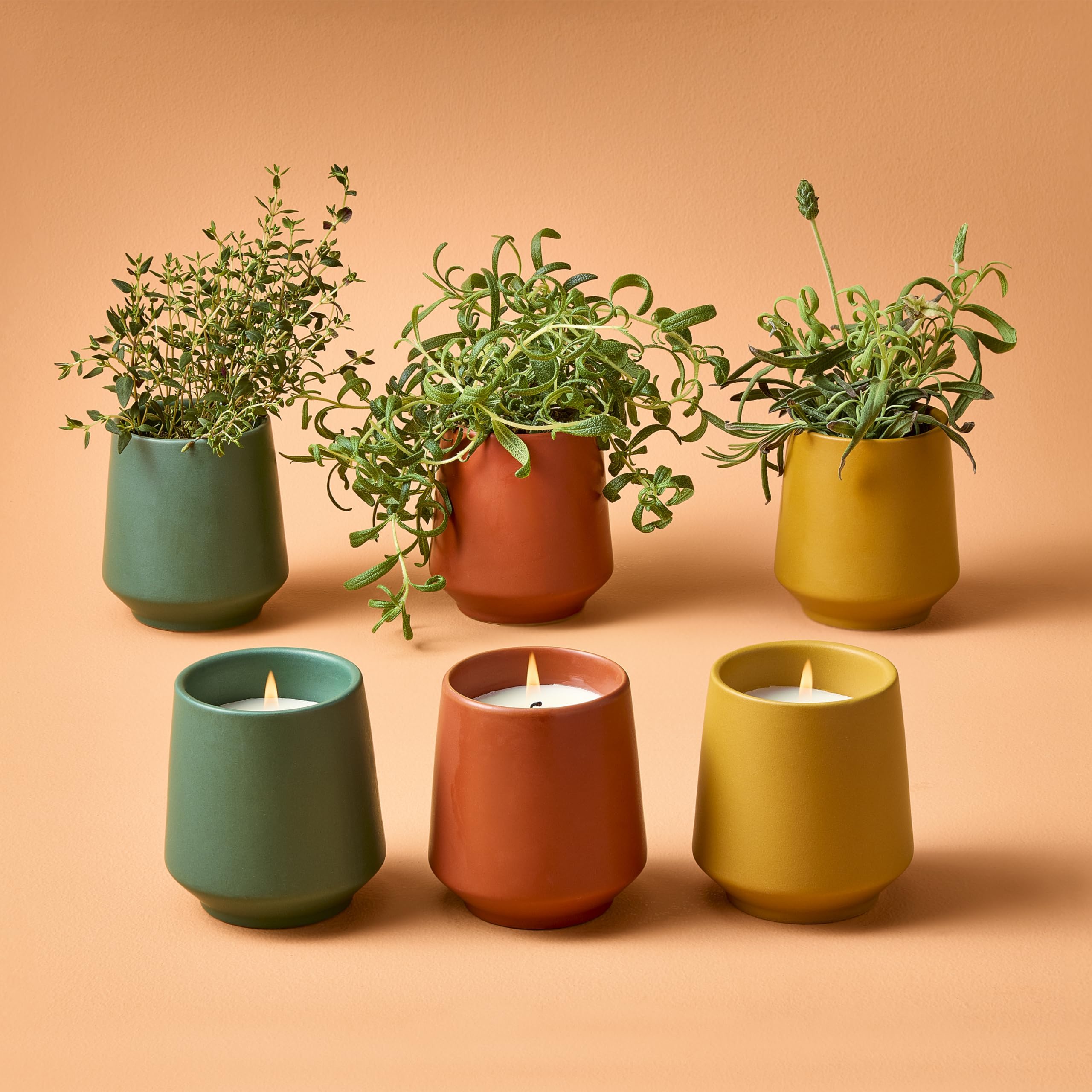 Modern Sprout thyme candle close-up showing matte ceramic and warm tone