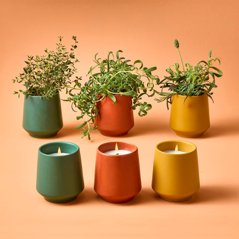 Modern Sprout thyme candle close-up showing matte ceramic and warm tone