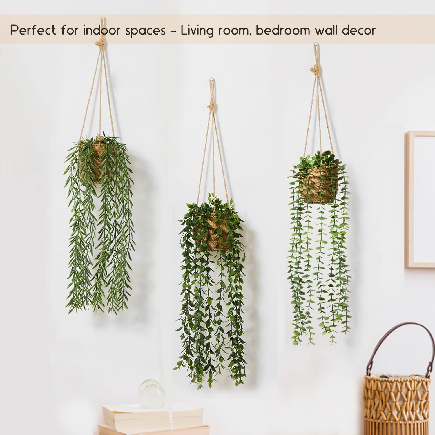 Mokof next to books showing scale and long trailing foliage advantage