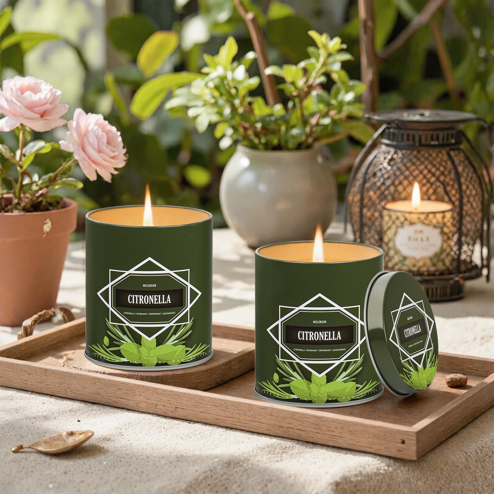 Molensun candle at a campsite providing mood lighting and fresh outdoor aroma