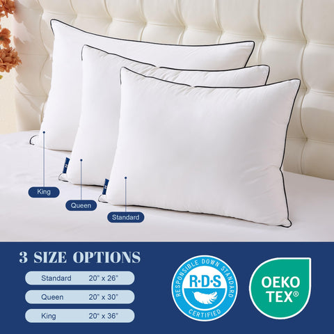 Mosluna size comparison showing queen dimensions and correct pillow scale